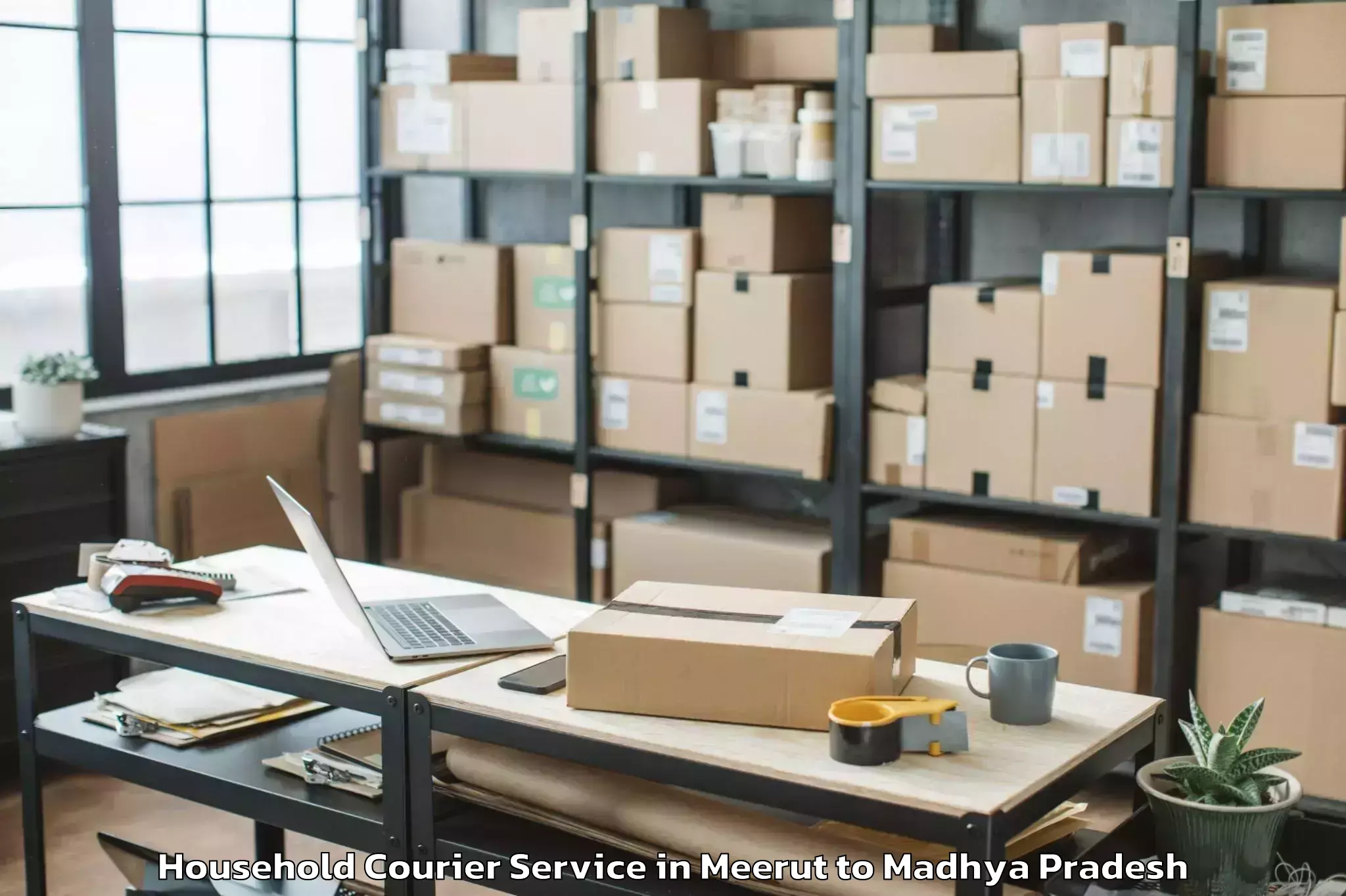 Book Meerut to Alirajpur Household Courier